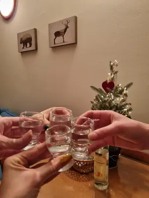 a group of people holding wine glasses on a table at Apartman Vrh,Kopaonik in Kopaonik