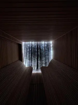 a dark room with a window with trees in the background at Apartments Kos - Milmari Resort in Kopaonik
