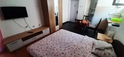 a bedroom with a bed and a flat screen tv at Apartments Nebojša in Soko Banja