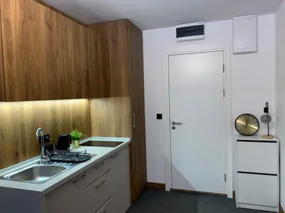 a kitchen with a sink and a counter top at Apartman Glečer Vila Bela Reka in Brzeće