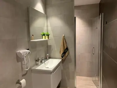 a bathroom with a sink and a shower at Apartman Glečer Vila Bela Reka in Brzeće