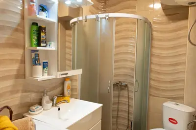 a bathroom with a shower and a sink at CVETIĆ apartman in Zaječar