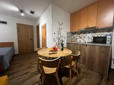 a kitchen with a table and chairs in a room at Z3 Studio in Kopaonik