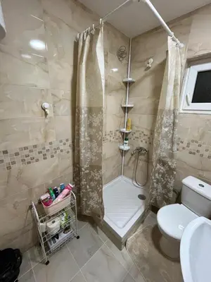 a bathroom with a shower and a toilet at Apartman KVINS 1 in Kruševac
