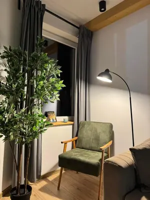 a living room with a green chair and a plant at Hera Kopaonik in Kopaonik