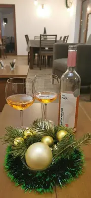 two glasses of wine and christmas decorations on a table at Vučja reka in Crni Vrh