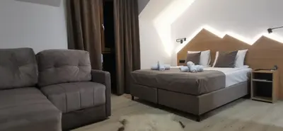 a bedroom with a bed and a couch at Vučja reka in Crni Vrh