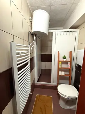 a small bathroom with a toilet and a shower at Vila Aurora , 50m od Gondole Brzece in Brzeće