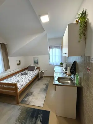 a room with a bed and a sink in it at Vila Aurora , 50m od Gondole Brzece in Brzeće