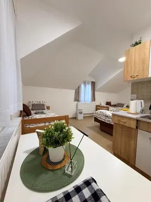 a kitchen and living room with a table in a room at Vila Aurora , 50m od Gondole Brzece in Brzeće