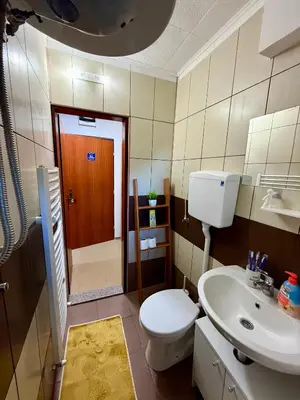 a bathroom with a toilet and a sink at Vila Aurora , 50m od Gondole Brzece in Brzeće