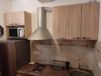 a kitchen with a sink and a refrigerator at Kopaonik apartman Miklušev in Kopaonik