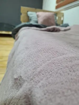 a bed with a gray blanket on top of it at Šumska vila Gašić in Kopaonik