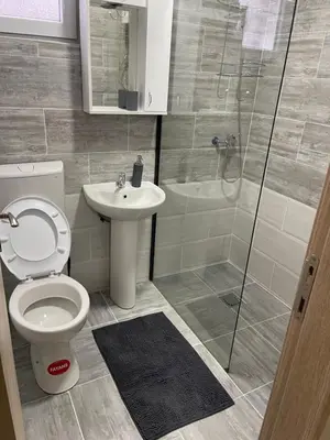 a bathroom with a toilet and a sink and a shower at Šumska vila Gašić in Kopaonik