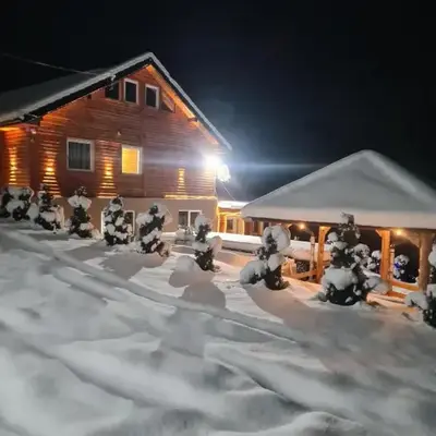 Šumska vila Gašić