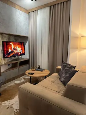 a living room with a couch and a tv at Friends Apartmani - Broj 2 in Raška