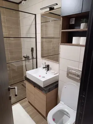 a small bathroom with a sink and a toilet at Sunčana planina apartman 104 in Kopaonik