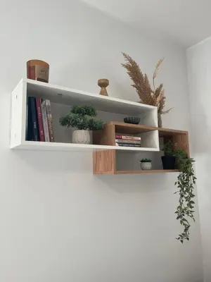 a white shelf with potted plants and books at Apartman Lawa Kopaonik in Kopaonik