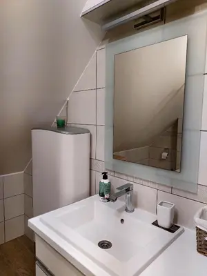 a bathroom with a sink and a mirror at Vila Breg Kopaonik Centar in Kopaonik