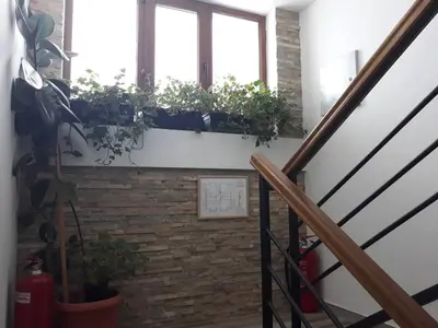 a staircase with potted plants on a brick wall at Dobricin Konak Kopaonik in Kopaonik