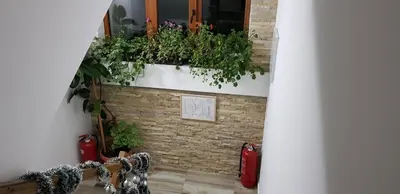 a building with a window with plants on it at Dobricin Konak Kopaonik in Kopaonik
