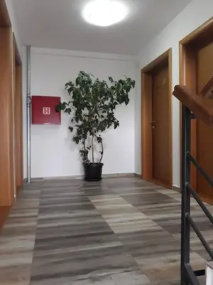 a hallway with a potted plant on the wall at Dobricin Konak Kopaonik in Kopaonik