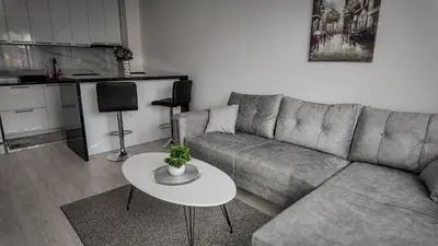 a living room with a couch and a table at Apartman Jovanović in Pirot