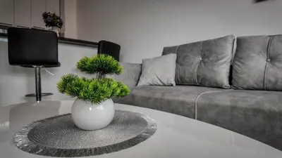 a living room with a vase with plants on a table at Apartman Jovanović in Pirot