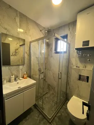 a bathroom with a shower and a sink and a toilet at Winter House in Kopaonik