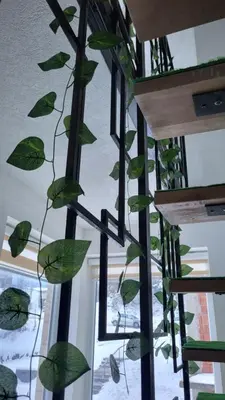 a green plant hanging from a ceiling next to a window at Lily Apartmani Brzece in Brzeće