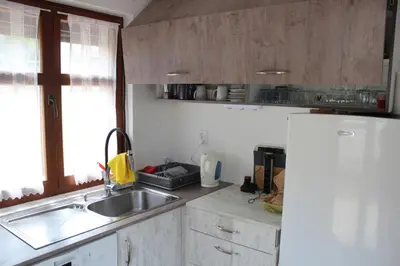 a kitchen with a sink and a refrigerator at Panorama house Goč in Goč