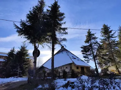 a house in the snow with a tree in front of it at Kuća Drinčić in Kopaonik