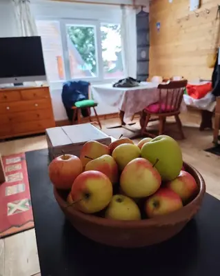a bowl of apples sitting on top of a table at Kuća Drinčić in Kopaonik