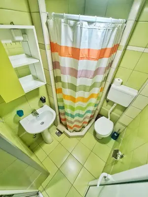a bathroom with a shower curtain and a toilet at Vila Aleksandra 2 Studio 5 in Soko Banja