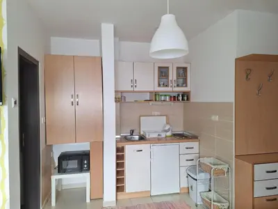 a small kitchen with wooden cabinets and a microwave at Apartman R&M Kraljevi čardaci in Kopaonik