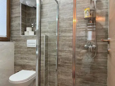 a bathroom with a shower and a toilet at Vila Elena in Kopaonik