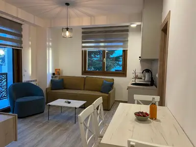 a living room with a couch and a table at Vila Elena in Kopaonik
