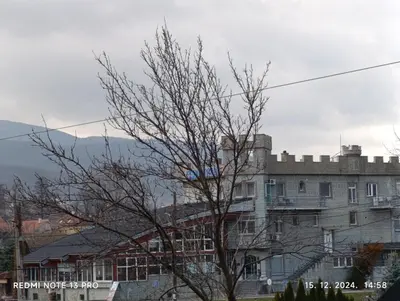 a tree in front of a building with mountains in the background at Garfield Family Studio 1 in Soko Banja