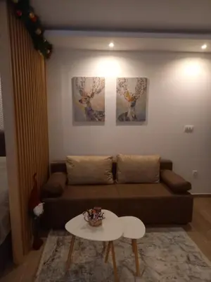 a living room with a couch and a table at Apartman Čarolija, Sunčana planina in Kopaonik