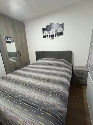 a bedroom with a large bed with two pictures on the wall at Luksuzni Apartman Ema 2 in Pirot