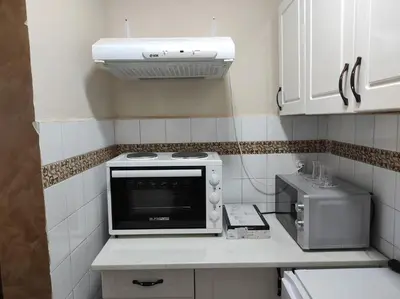 a kitchen with a stove and a microwave at Dona Apartments 1 in Niš