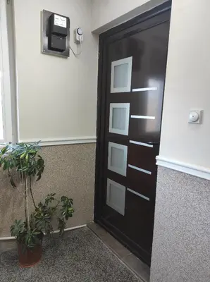 a black door in a room with a potted plant at Dona Apartments 1 in Niš