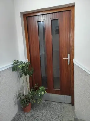 a wooden door with two plants in front of it at Dona Apartments 2 in Niš