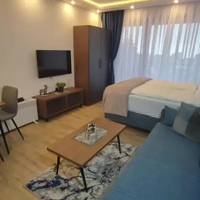 Apartment 12 Kopaonik