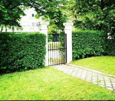 a gate in a yard with a hedge at V&Ž-Vb in Vrnjačka Banja