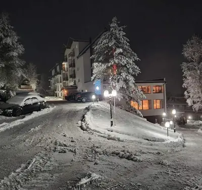 a snow covered street at night with a christmas tree at Vila Barselona Kopaonik in Raška