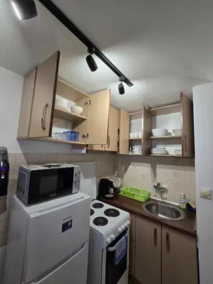 a small kitchen with a stove and a sink at Apartman Leda in Kopaonik