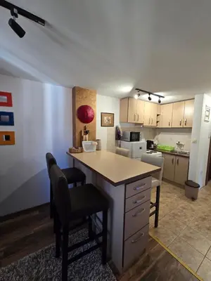 a kitchen with a large island in a room at Apartman Leda in Kopaonik