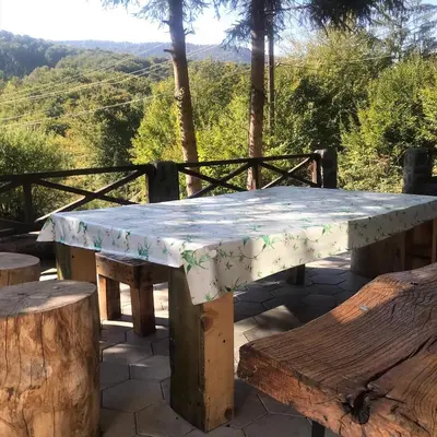 a table and benches with a view of the mountains at Vila Krnjević Jastrebac in Buci