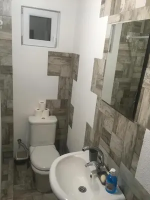 a bathroom with a toilet and a sink at Vila Krnjević Jastrebac in Buci